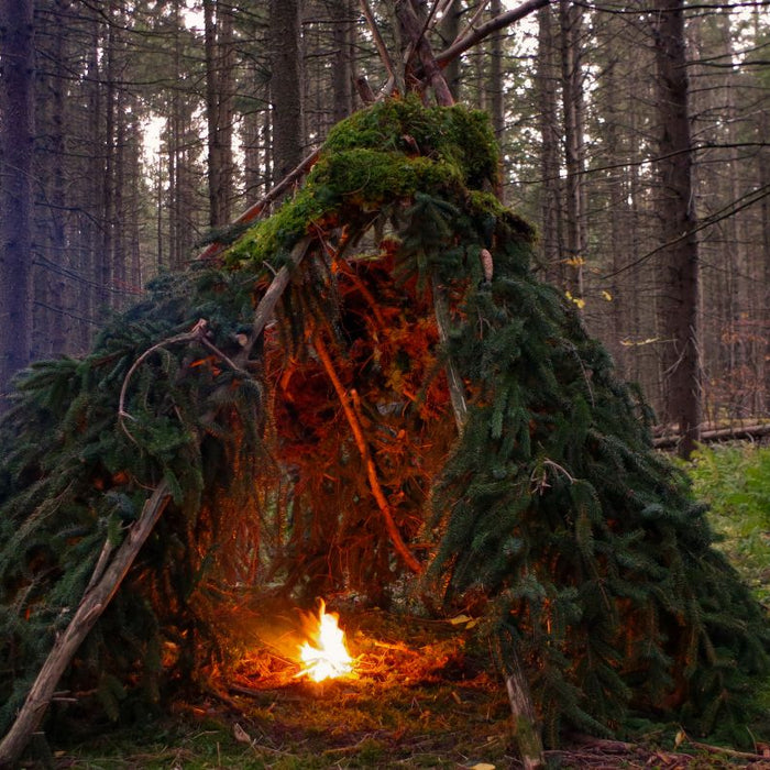 How to Build a Survival Shelter in the Wilderness