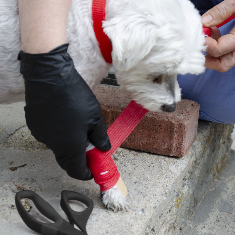 Emergency Zone Pet First Aid Kit