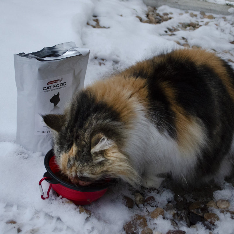 Emergency Zone Basic Cat Emergency Survival Kit