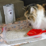 Emergency Zone Basic Cat Emergency Survival Kit