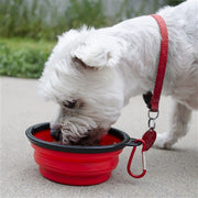Basic Dog Emergency Kit - Emergency Zone