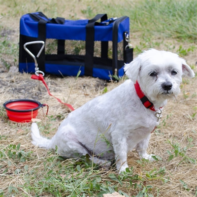 Deluxe Small Dog Emergency Bug-Out Kit - Emergency Zone